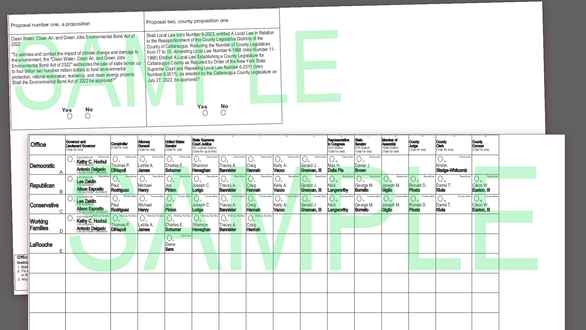 Preview of Countywide Sample Ballot