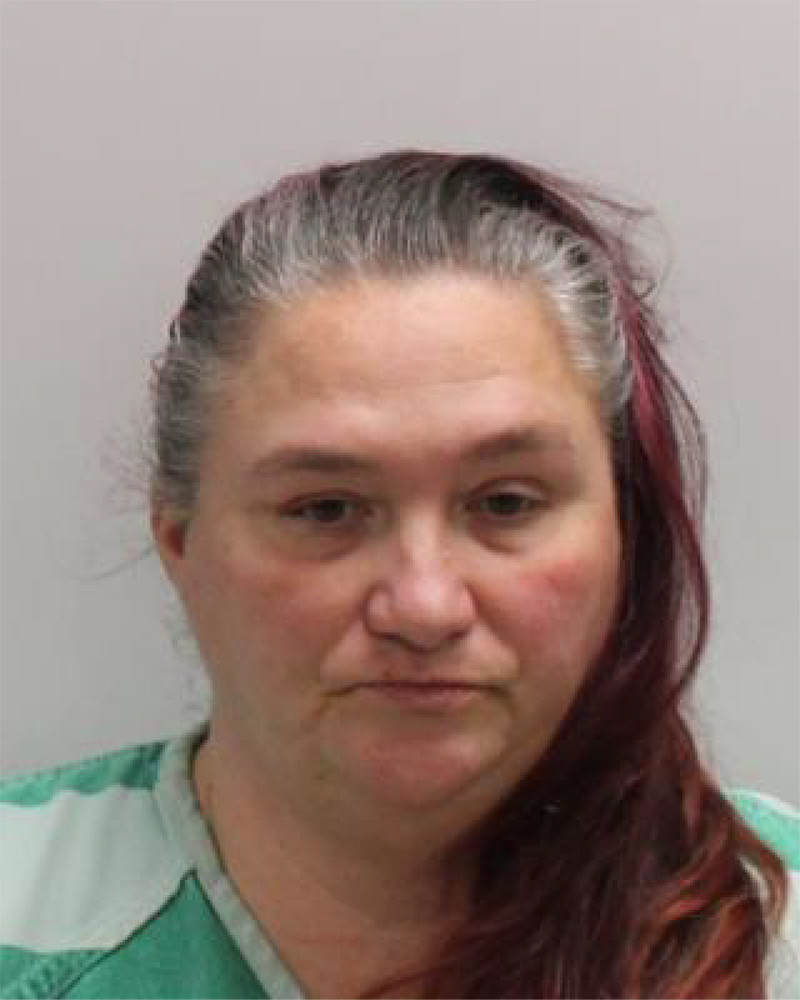 Mugshot of Truesdale, Donna