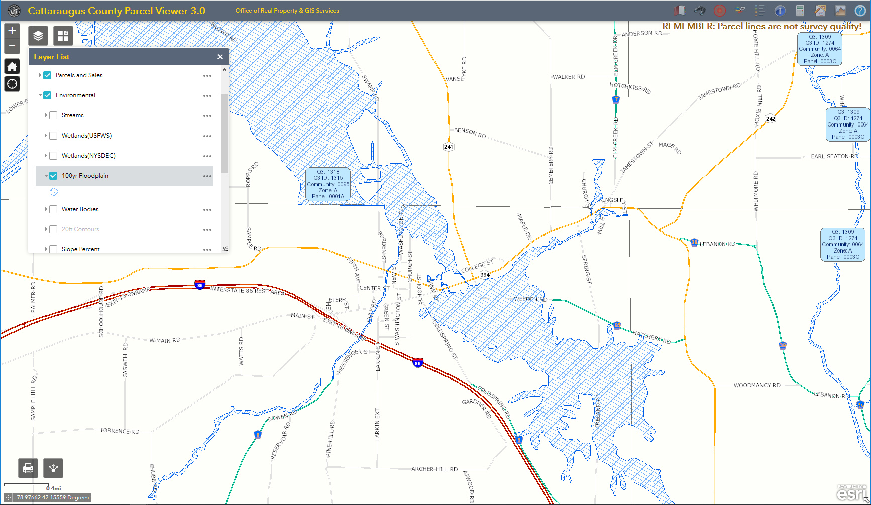 Catt. County Parcel Viewer zoomed in on Randolph, NY with the 100 Year Floodplain layer visible