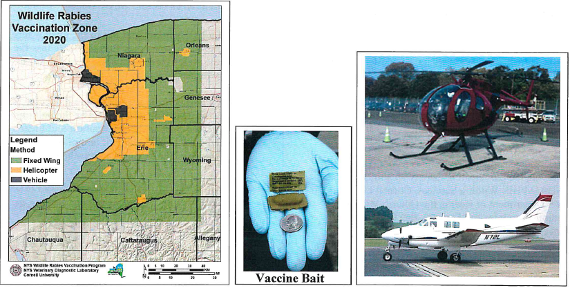 picture of rabies vaccine bait and the vehicles that will be used to drop them in the county