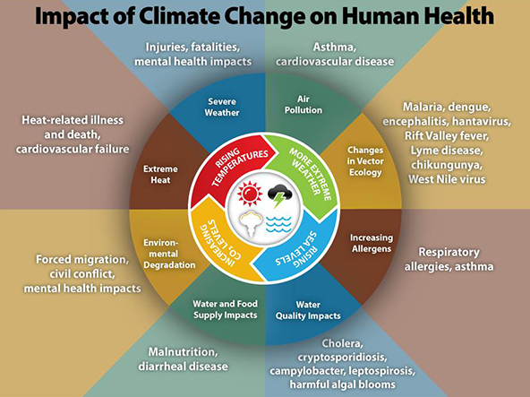 Climate Change and Health Impacts