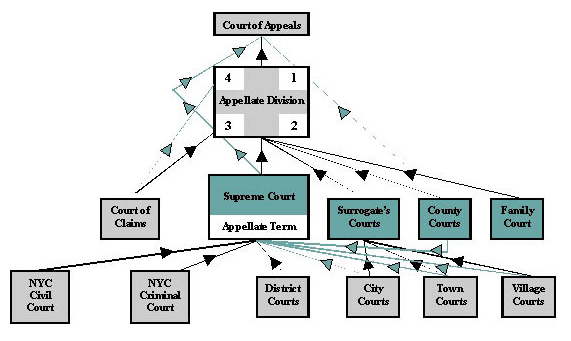 Cattaraugus County Court System Chart