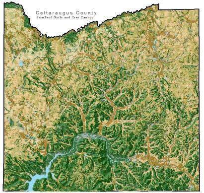 GIS Farmland Map