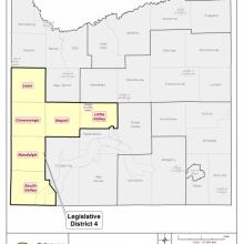 Legislative District 4 Map